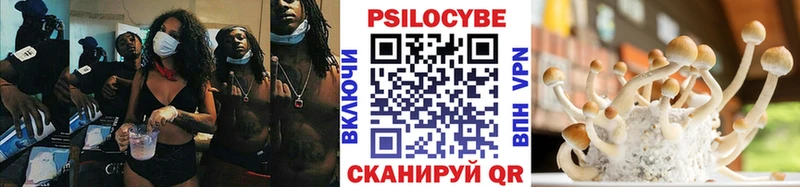 Псилоцибиновые грибы GOLDEN TEACHER  Железногорск-Илимский 